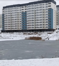 ��������� �������� �����������, ������������, ������, ˳������������� ���� 1