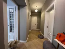  3  , ,    8