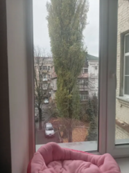    ,  25  9