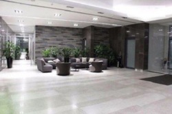  'Central Park'  3-() VIP-   ! !  7  7
