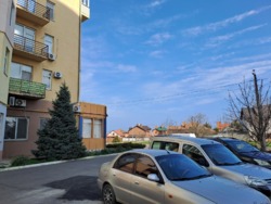  3.    3