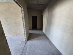 ������ 1�.�������� ���� ����� ������ ���� 12