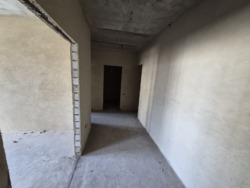 ������ 1�.�������� ���� ����� ������ ���� 11