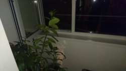 3�.�� � ��������� ����������� ���� 11