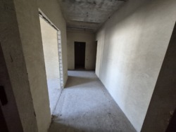 ������ 1�.�������� ���� ����� ������ ���� 19