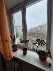 ������ 2-��������� �������� � ������ 7� ����� ���� 24