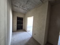 ������ 1�.�������� ���� ����� ������ ���� 15