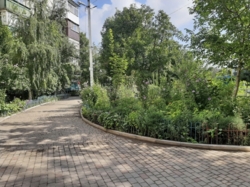 ������ 2�.�� � ��������� ����������� ���� 3