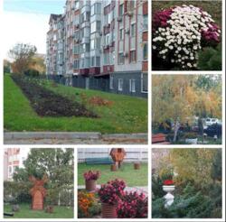 Продам 1к.квартиру в АББО фото 18 Продам 1к.квартиру в АББО фото 18