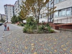   , , ,  ,   22