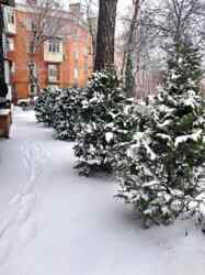 ������ 2�.�� �������� ���� 19