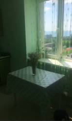 �������� � ���� ���� 15