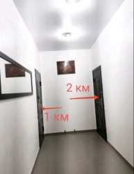   3-      49
