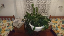 3�.�� � ��������� ����������� ���� 3