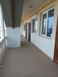 ������ 1�.�� � ���� ���������� ���� 12