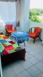 Квартира з терасою в центрі міста, Олександрівський пр. фото 3 Квартира з терасою в центрі міста, Олександрівський пр. фото 3