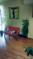 Квартира з терасою в центрі міста, Олександрівський пр. фото 5 Квартира з терасою в центрі міста, Олександрівський пр. фото 5