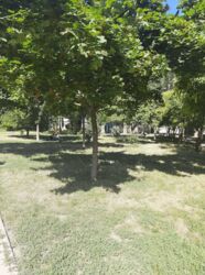 3-кімнатна квартира в спальному районі на вул Небесної Сотні фото 6 3-кімнатна квартира в спальному районі на вул Небесної Сотні фото 6