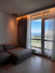    䳿, ,   , -,       18