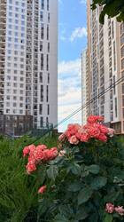 Однокімнатна квартира з видом на фонтани