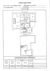 Пентхаус з терасою на вулиці Катерининській фото 14 Пентхаус з терасою на вулиці Катерининській фото 14