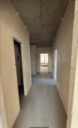    䳿, 42- ,         6