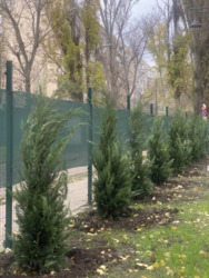 1 ������� �������� � �� ������ �������� �� ������. ���� 19