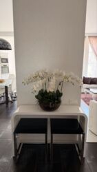 3-������� �������� � �� ��������, ���� �������� ���� 17