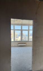    䳿, 42- ,         10