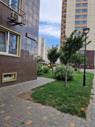 ����������� �������� � �� 49 ������� ���� 16