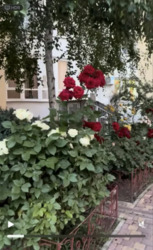 3-��������� �������� � ����� �� ���� �������� ���� 4