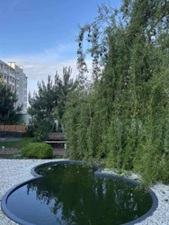 ���������� �������� � ����� �������� ���� 11