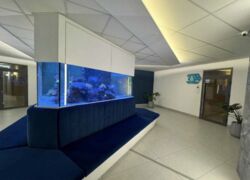 2-кімнатна квартира, вид на море, ЖК Аквамарин, Фонтанська дорога. фото 5 2-кімнатна квартира, вид на море, ЖК Аквамарин, Фонтанська дорога. фото 5