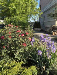 ���������� �������� � ����� �������� ���� 6