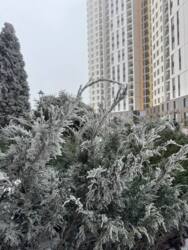 ���������� � �������� �� �������� ���� 5