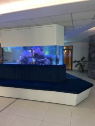 ����������� �������� � �� ��������� ���� 10