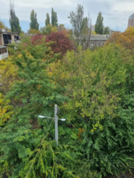 ���������� �������� �� �������� �������� ���� 3