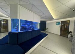 Квартира в ЖК Аквамарин,16 Фонтана. фото 4 Квартира в ЖК Аквамарин,16 Фонтана. фото 4