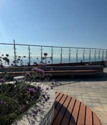 ��������-����� � �� ���������, ������ ���� 1