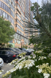 2 кімнатна квартира з ремонтом в ЖК Армійський фото 11 2 кімнатна квартира з ремонтом в ЖК Армійський фото 11