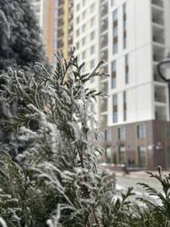 ���������� �������� � ����� �� ������� ���� 7