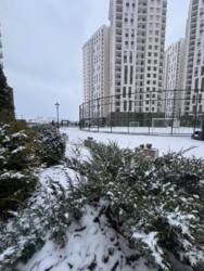 ����������� �������� � �������� �� �������� ���� 4