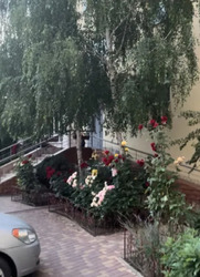 3-��������� �������� � ����� �� ���� �������� ���� 8