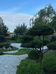 ���������� �������� � ����� �������� ���� 3