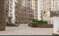    䳿, 42- ,         3