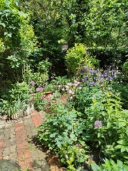 3-кімнатна квартира на Таїрово зі своїм палісадником та бомбосховищем фото 19 3-кімнатна квартира на Таїрово зі своїм палісадником та бомбосховищем фото 19