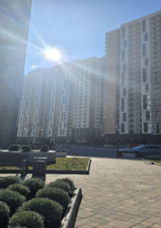 ���������� �������� �� ��������, ������� ���� 19