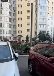 3-��������� �������� � ����� �� ���� �������� ���� 12