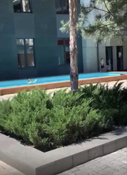 3-������� �������� ���-����� � ����������� ��������� �������� �� ����� ������ �� ������ ��������. ���� 5
