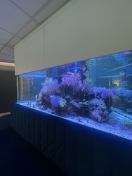 Квартира біля моря на Золотому Березі